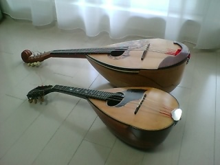 mandolin and mandola